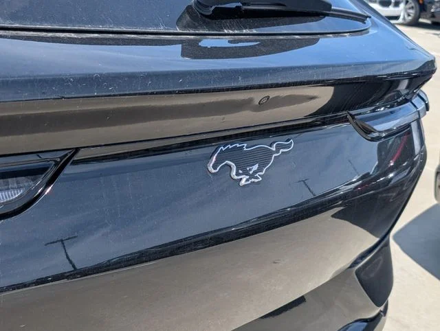 New 2026 Shadow Black Ford Premium image 11