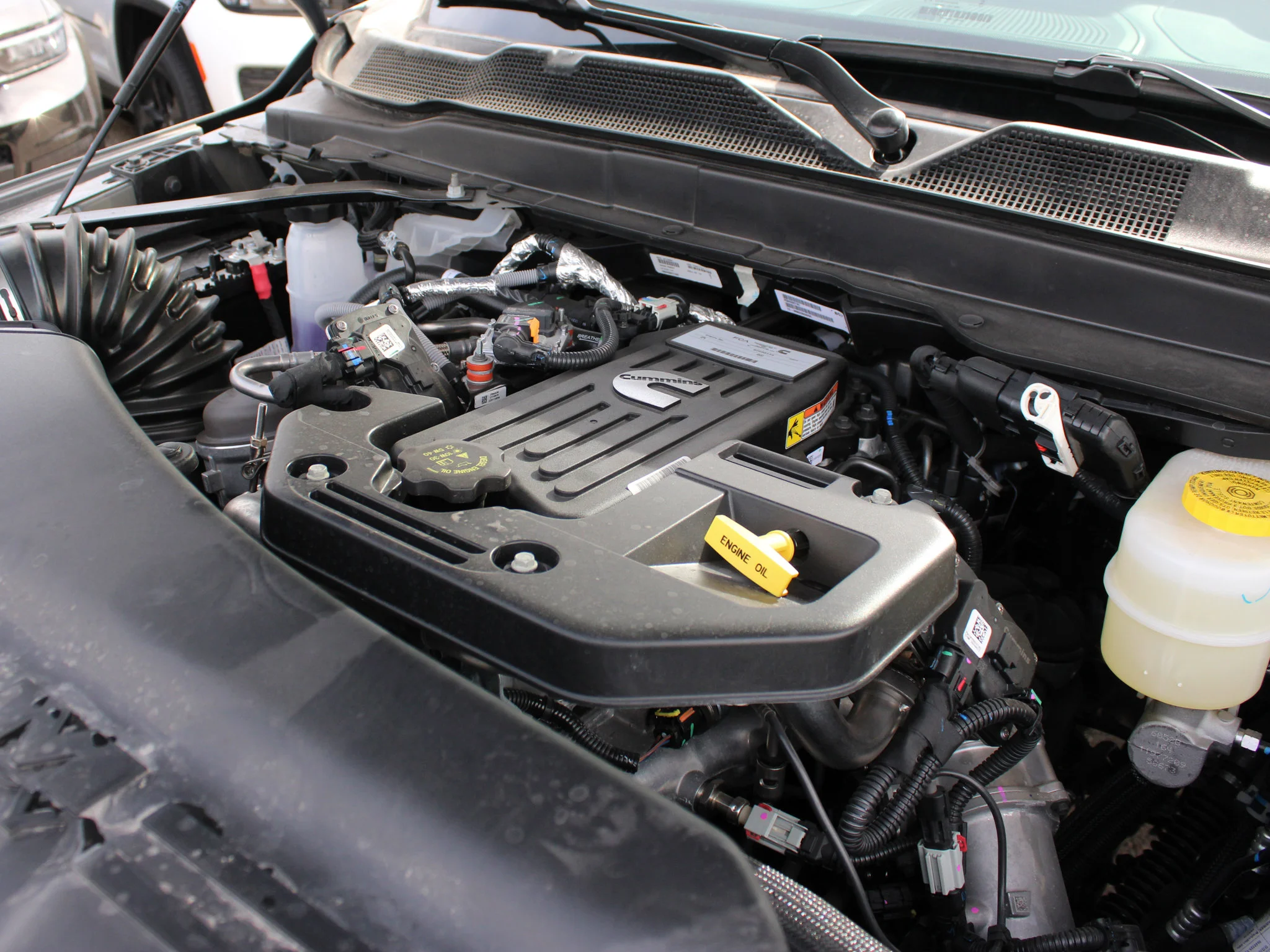 New 2026 Grey RAM Limited* image 9