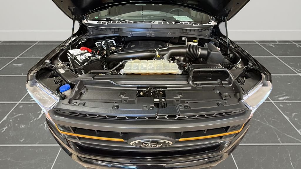 2021 Ford F-150 Tremor - Photo 23