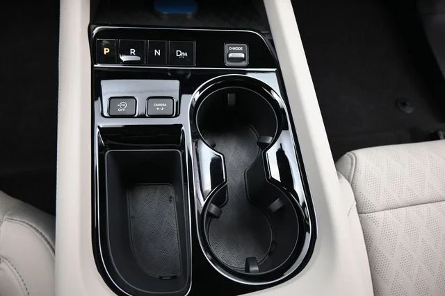 New 2026 Black Nissan Platinum image 27