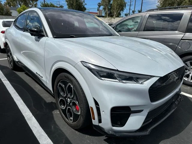 2022 Ford Mustang-Mach-e GT's photo