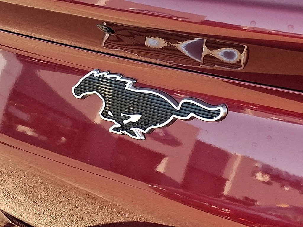 2025 Ford Mustang Mach-E Premium - Photo 30