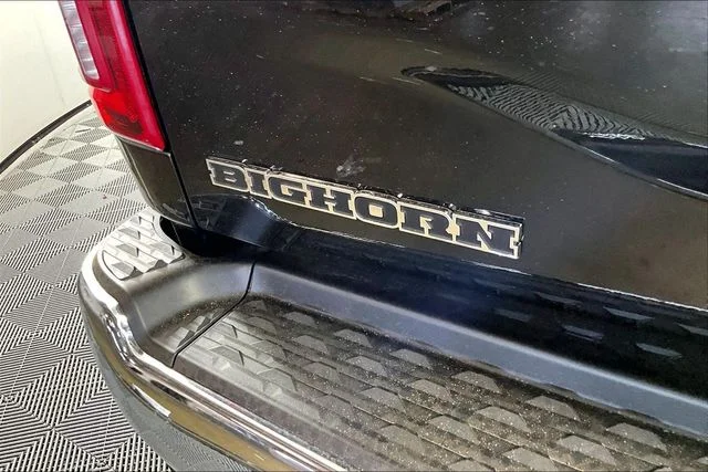 New 2026 Black Ram Big Horn image 10