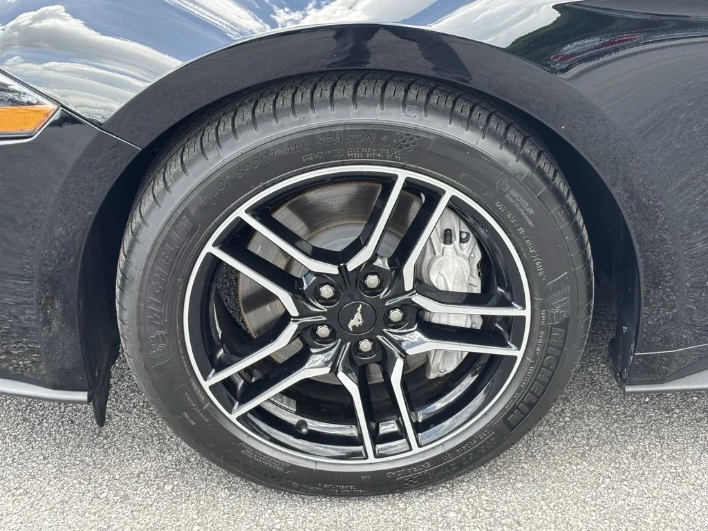 Used 2019 Black Ford GT Premium image 11