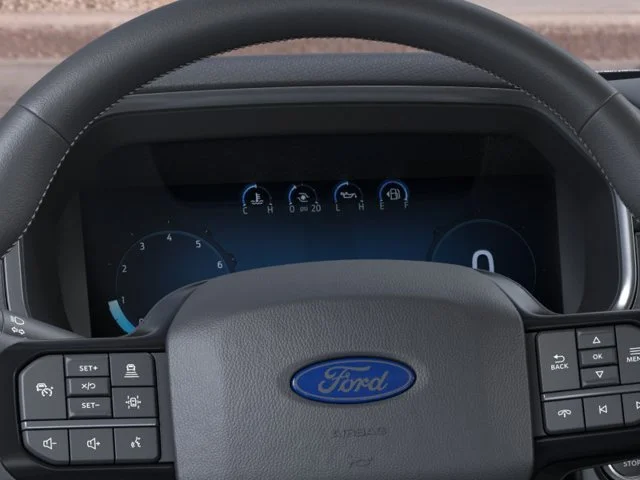 New 2026 Black Metallic Ford Platinum image 13