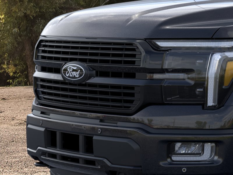 New 2025 Agate Black Metallic Ford Platinum® image 17