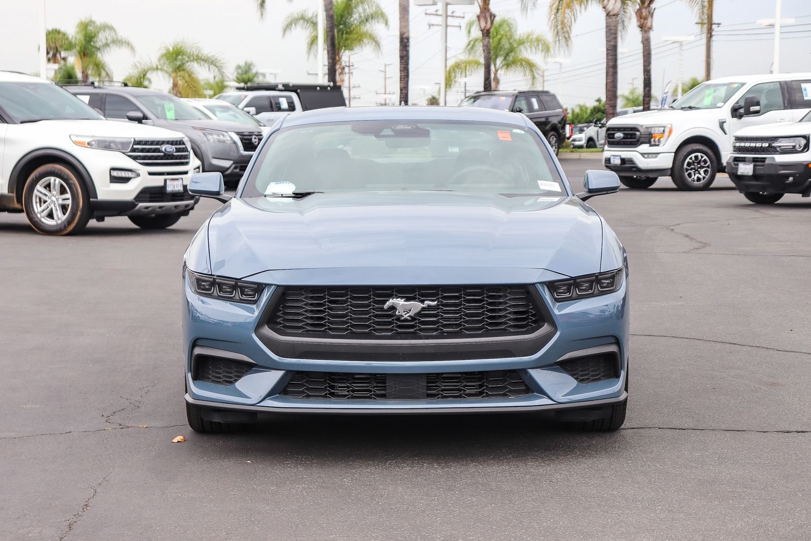 Used 2026 Vapor Blue Ford EcoBoost image 2
