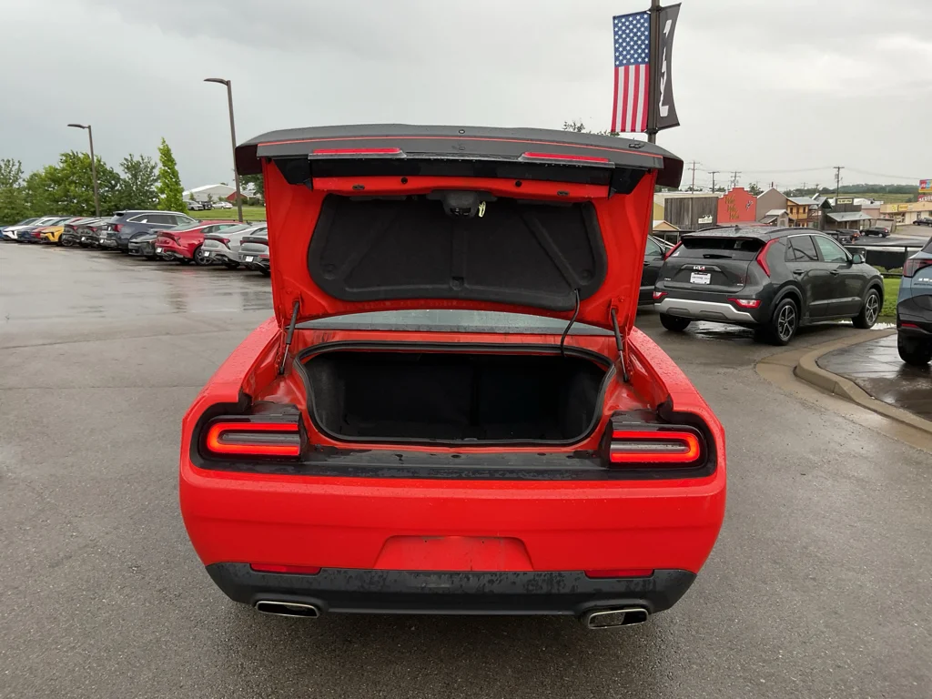 Used 2020 Go Mango Dodge GT image 13