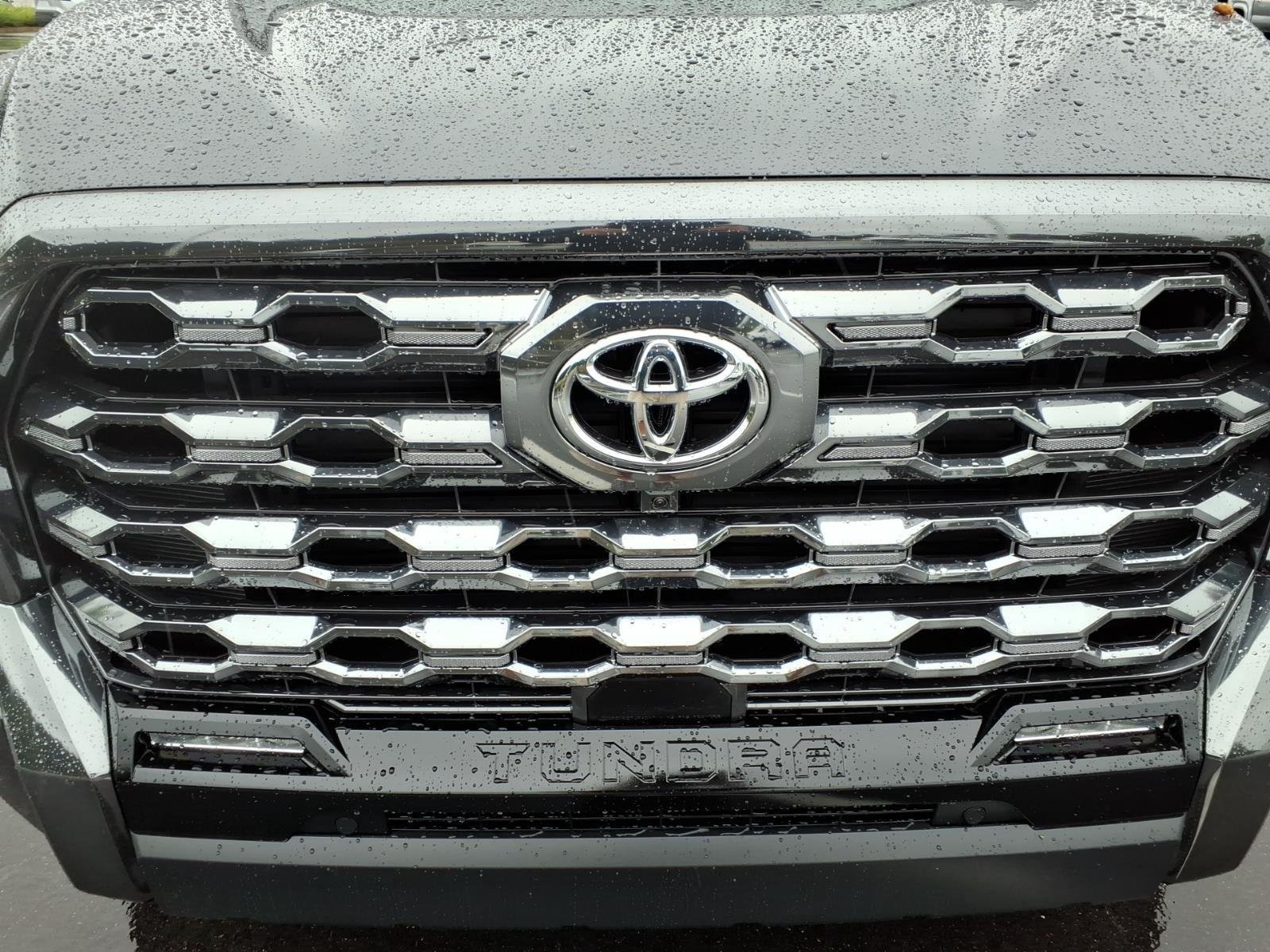 New 2026 Magnetic Gray Metallic Toyota Platinum image 16