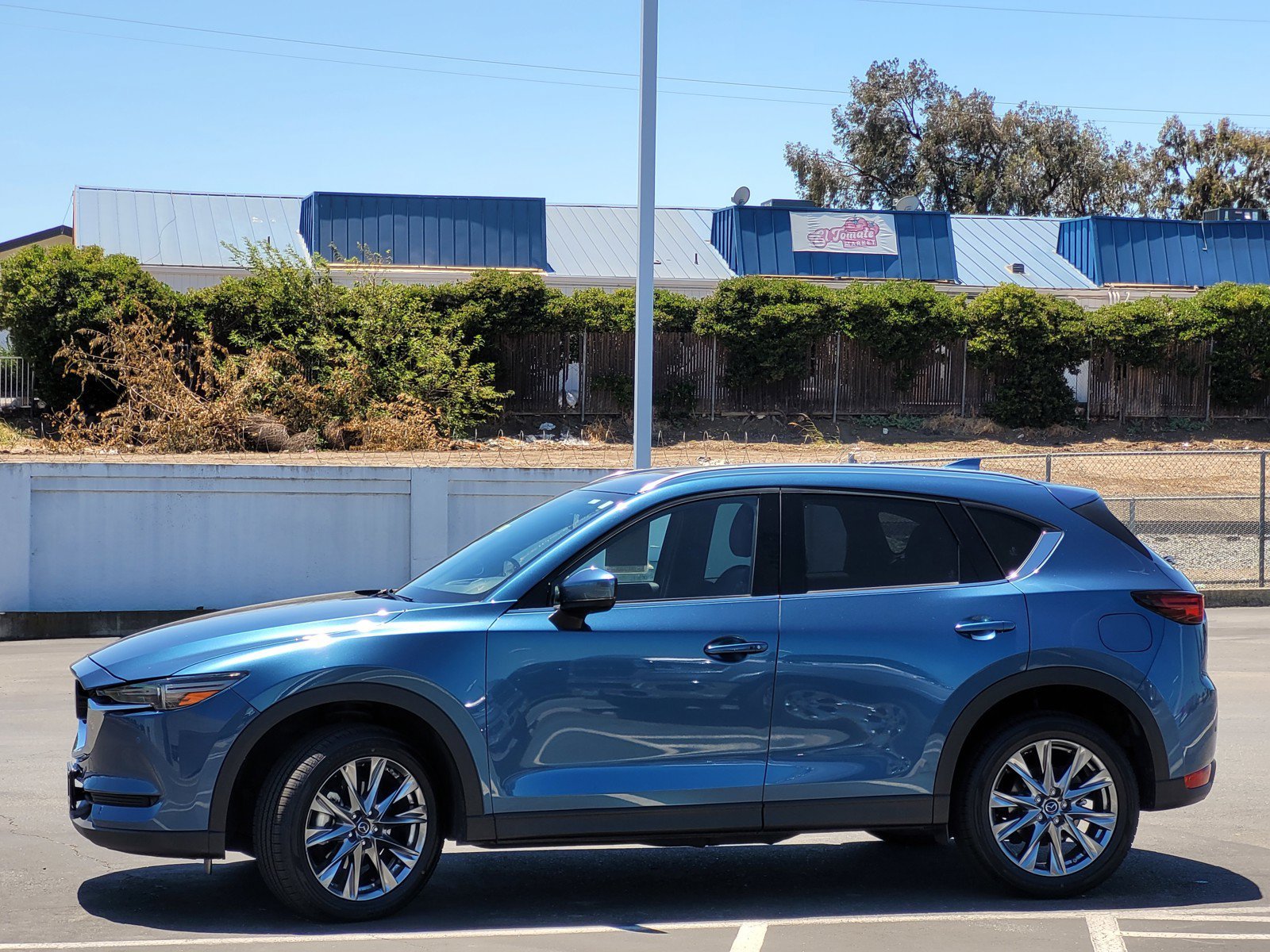 Used 2019 Eternal Blue Mica Mazda Signature image 7