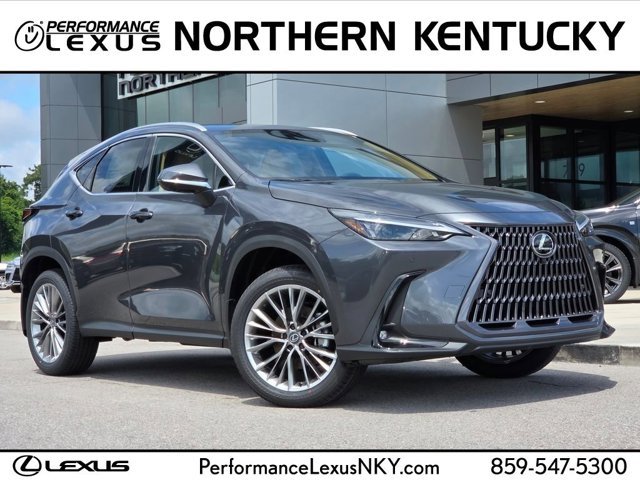 New 2026 Cloudburst Gray Lexus PREMIUM image 8