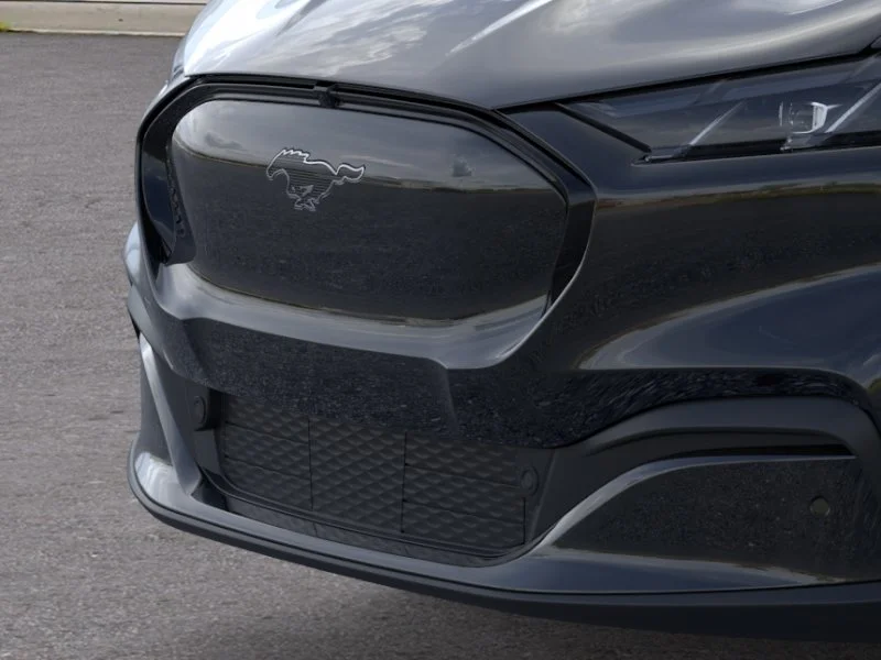 New 2026 Shadow Black Ford Premium image 41