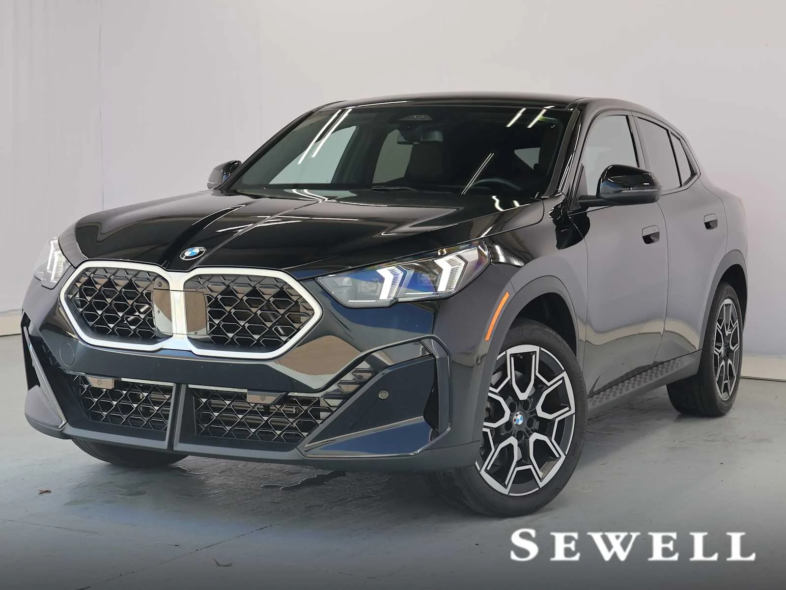 2025 BMW X2 xDrive28i's photo