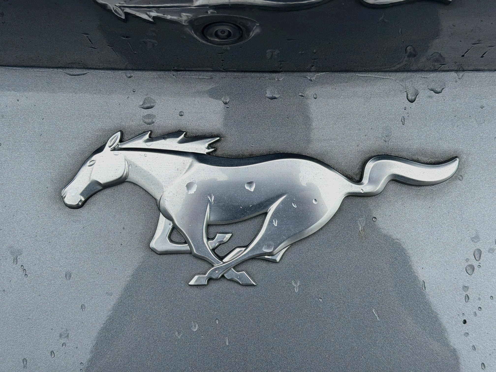 Used 2024 Gray Metallic Ford EcoBoost image 11