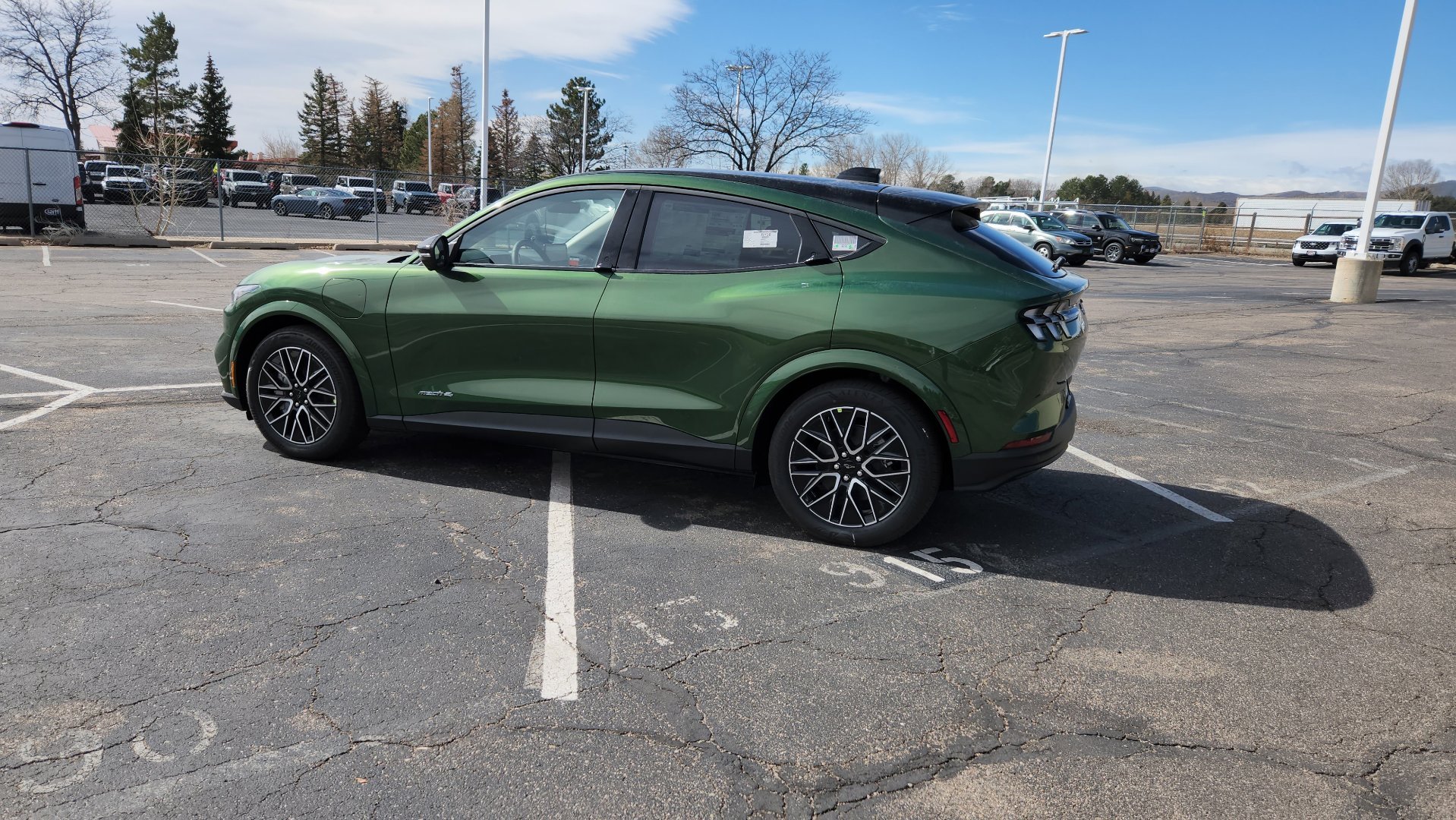 New 2026 Eruption Green Metallic Ford Premium image 7