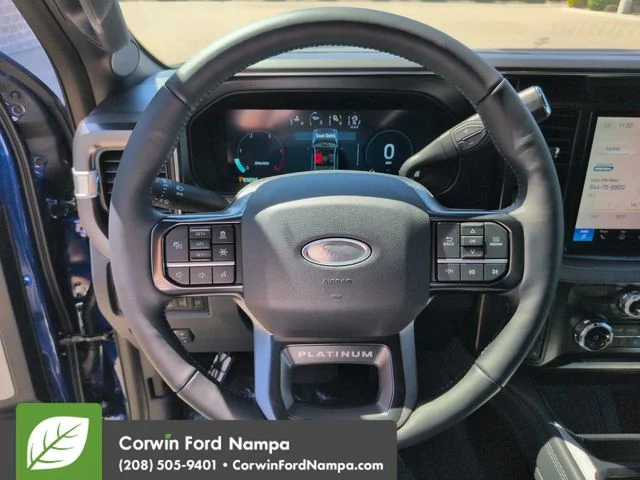 New 2026 Argon Blue Metallic Ford Platinum image 14