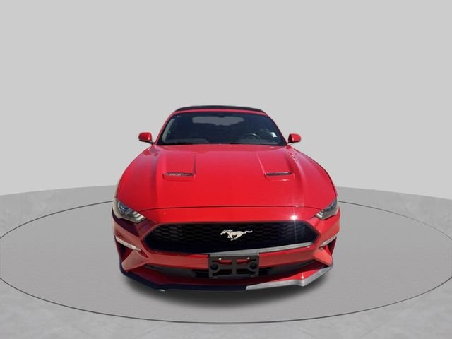 Certified Used 2019 Red Ford EcoBoost Premium image 6