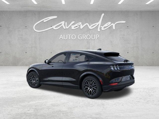 New 2026 Shadow Black Ford Premium image 5