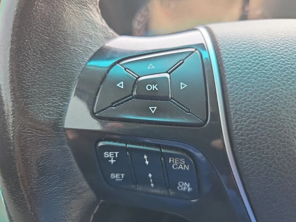 Used 2016 Gray Ford Platinum image 19
