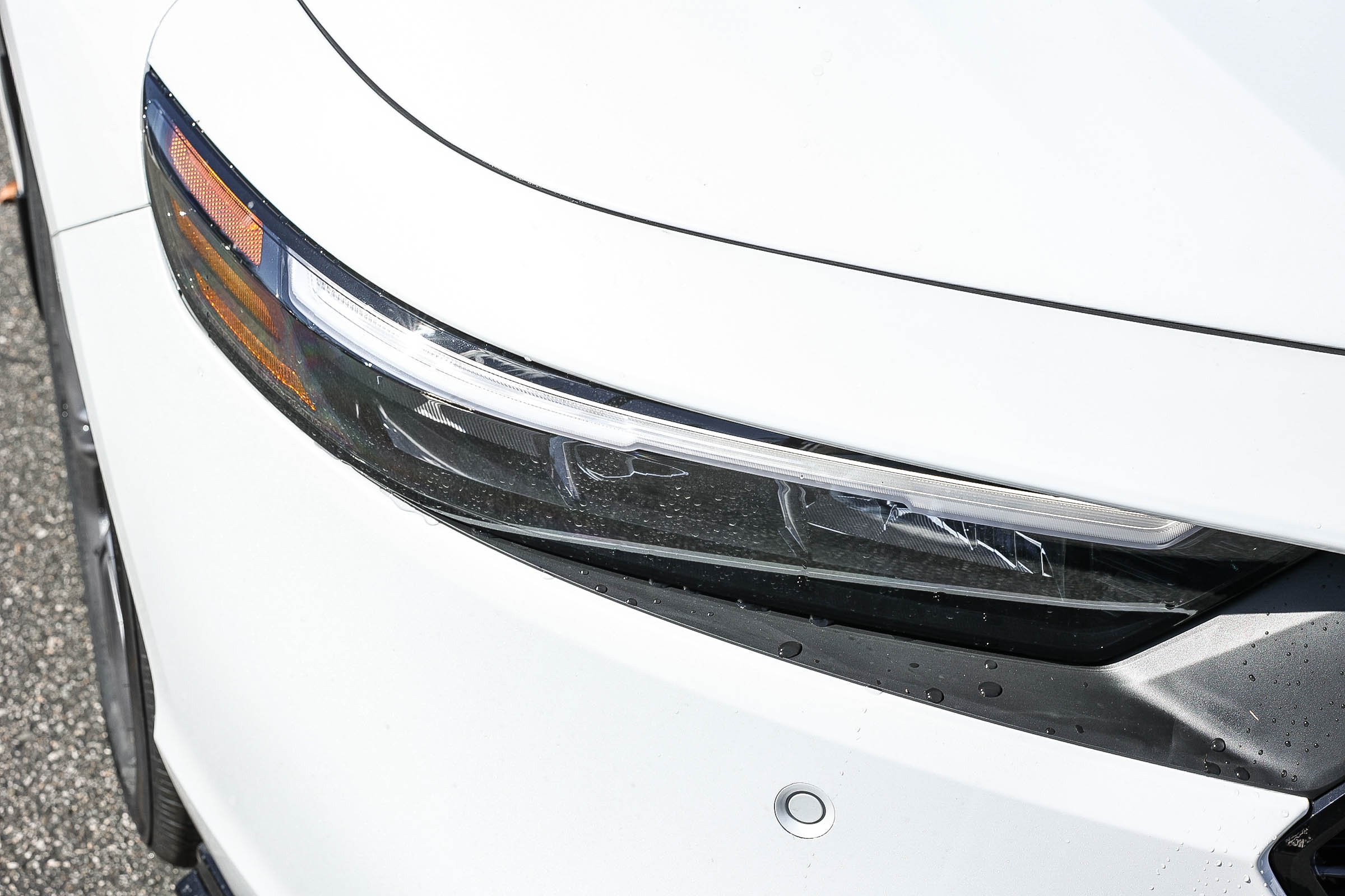New 2026 Platinum White Pearl Honda EX-L Sedan image 12