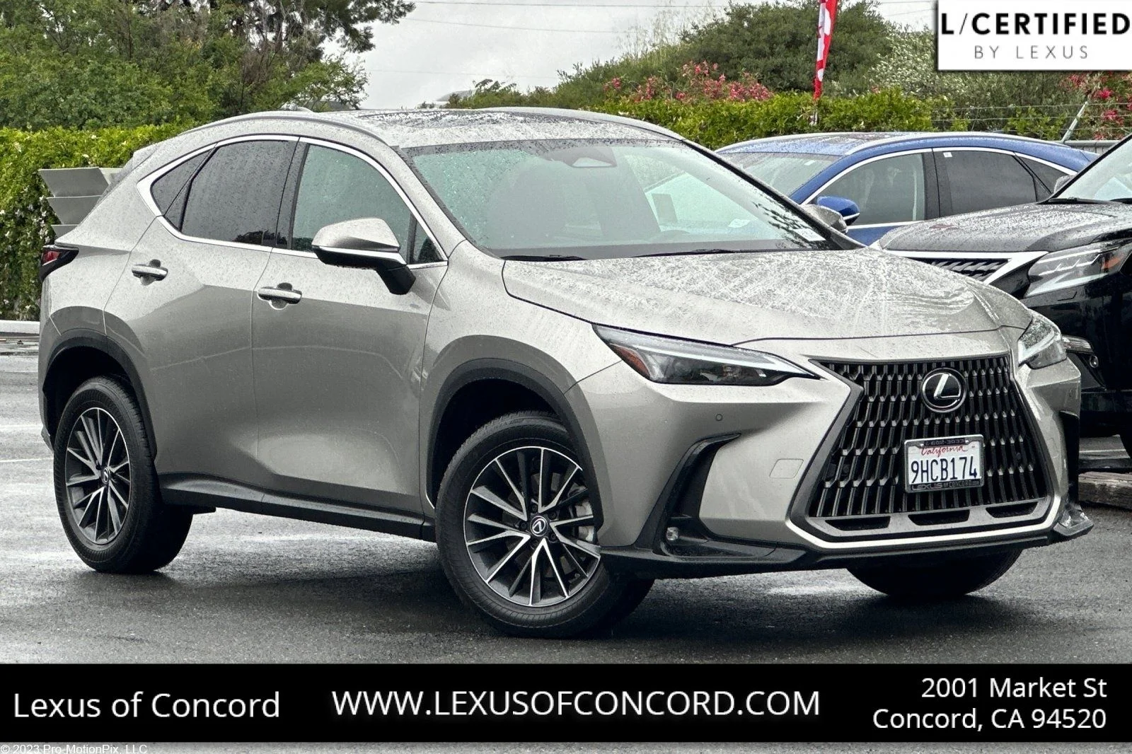 2024 Lexus NX 350 350 Premium AWD's photo