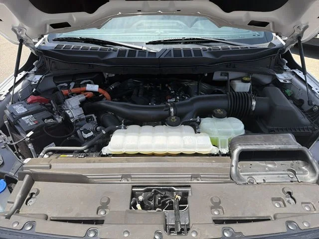 Used 2024 White Ford XLT image 25