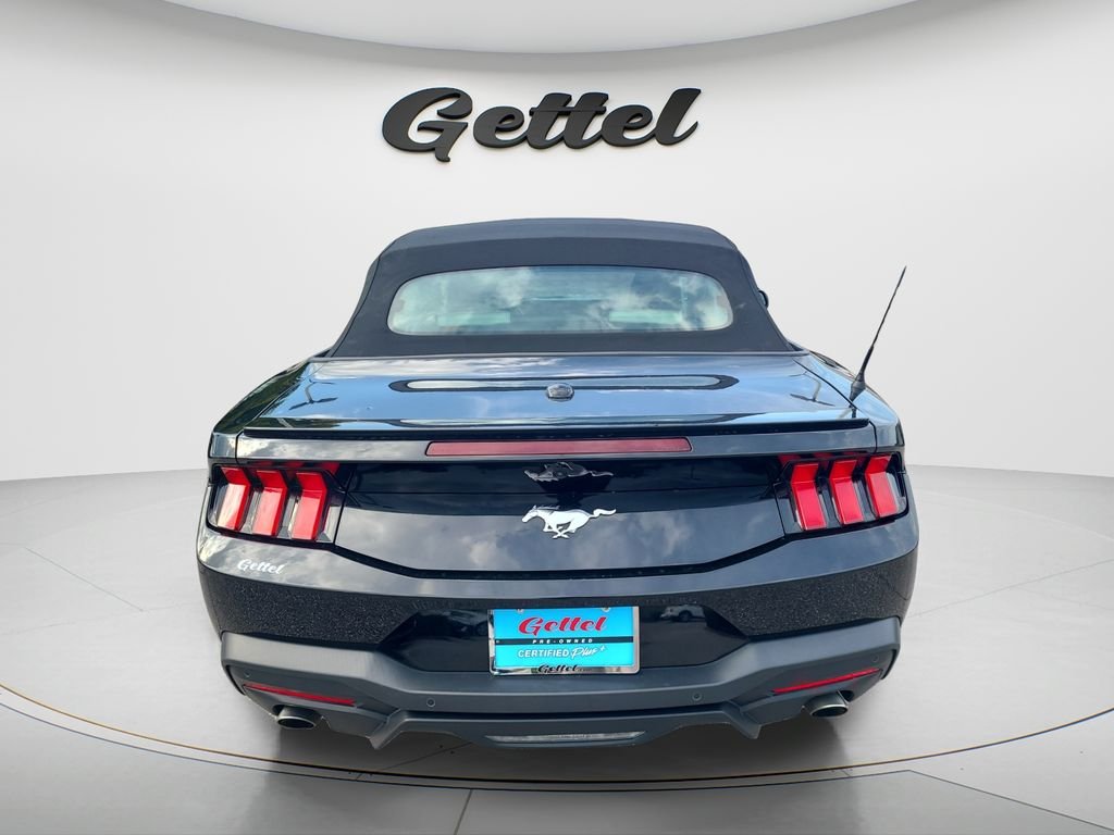 Used 2024 Black Ford EcoBoost Premium image 6