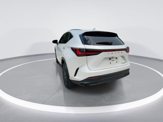 2023 Lexus NX 250 - Photo 7