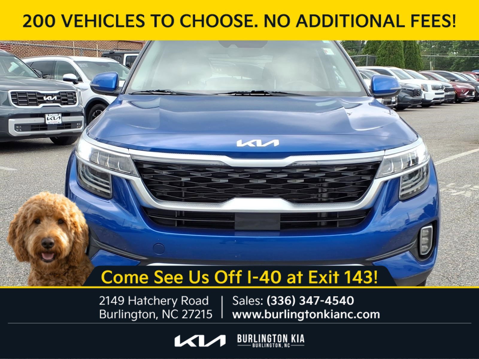Used 2023 Neptune Blue Kia SX image 2