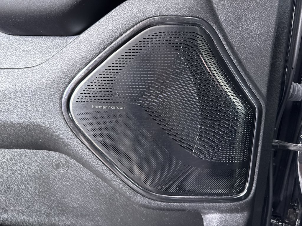 Used 2023 Black Ram Limited image 28