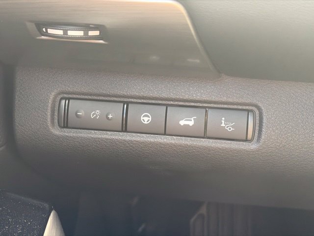 Used 2024 Gray Nissan Platinum image 32