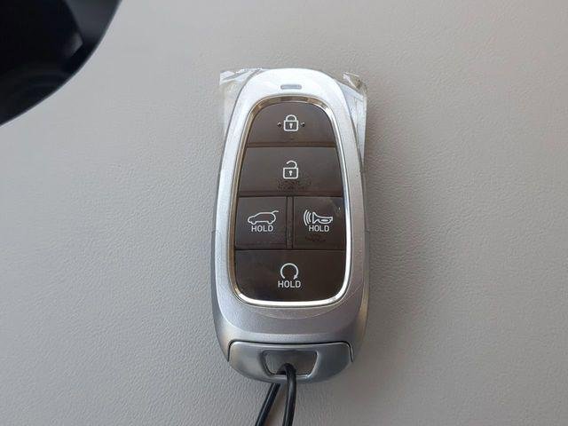 2025 Hyundai Palisade Limited - Photo 29