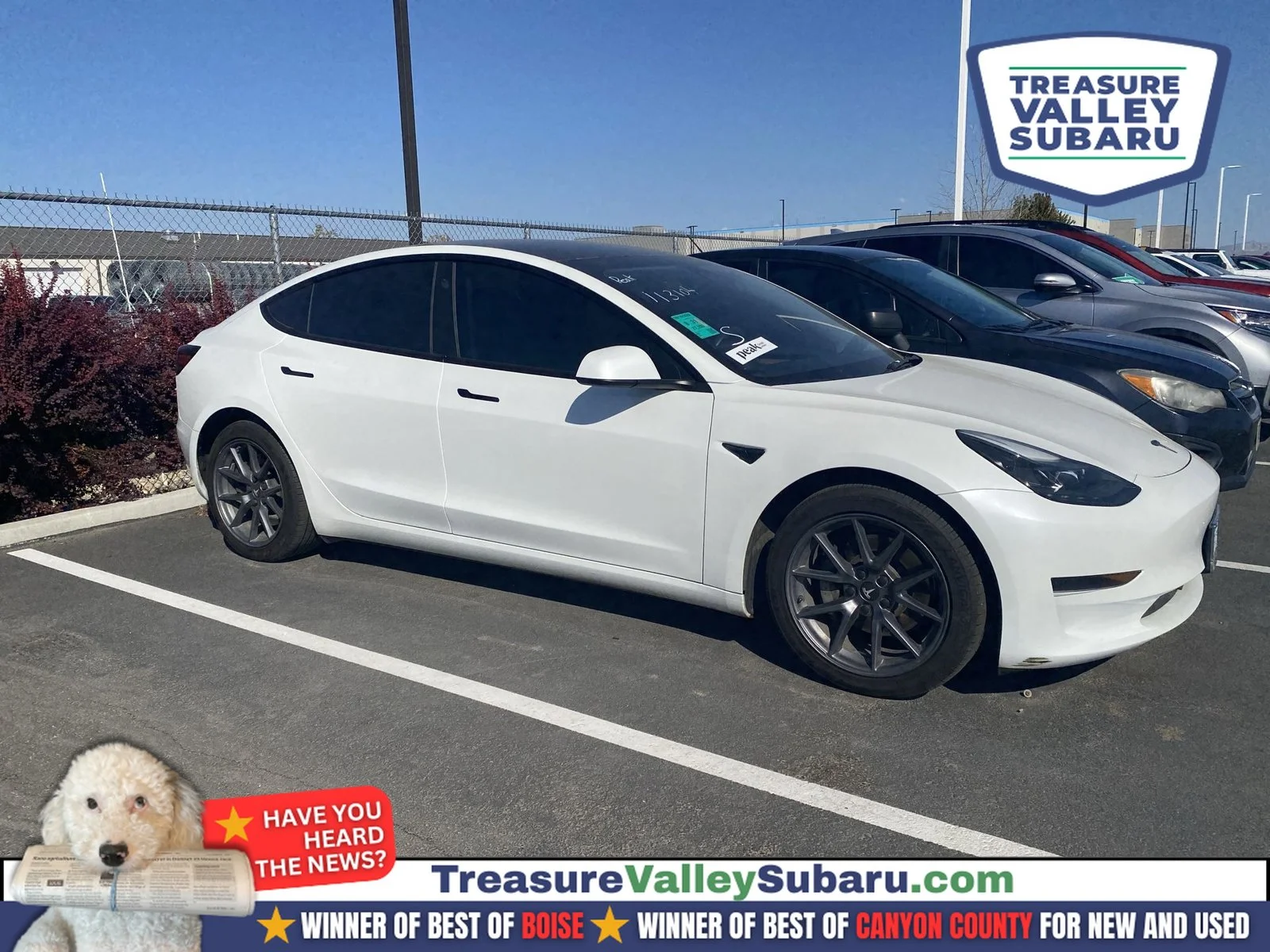 2023 Tesla Model 3