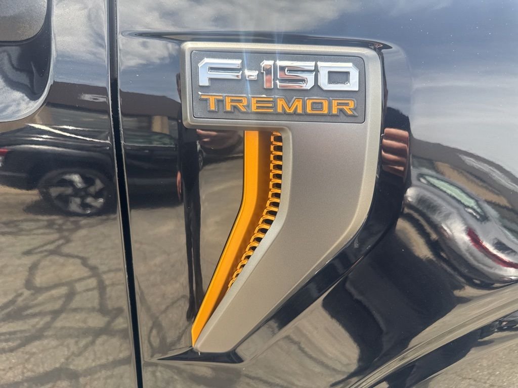 2023 Ford F-150 Tremor - Photo 10