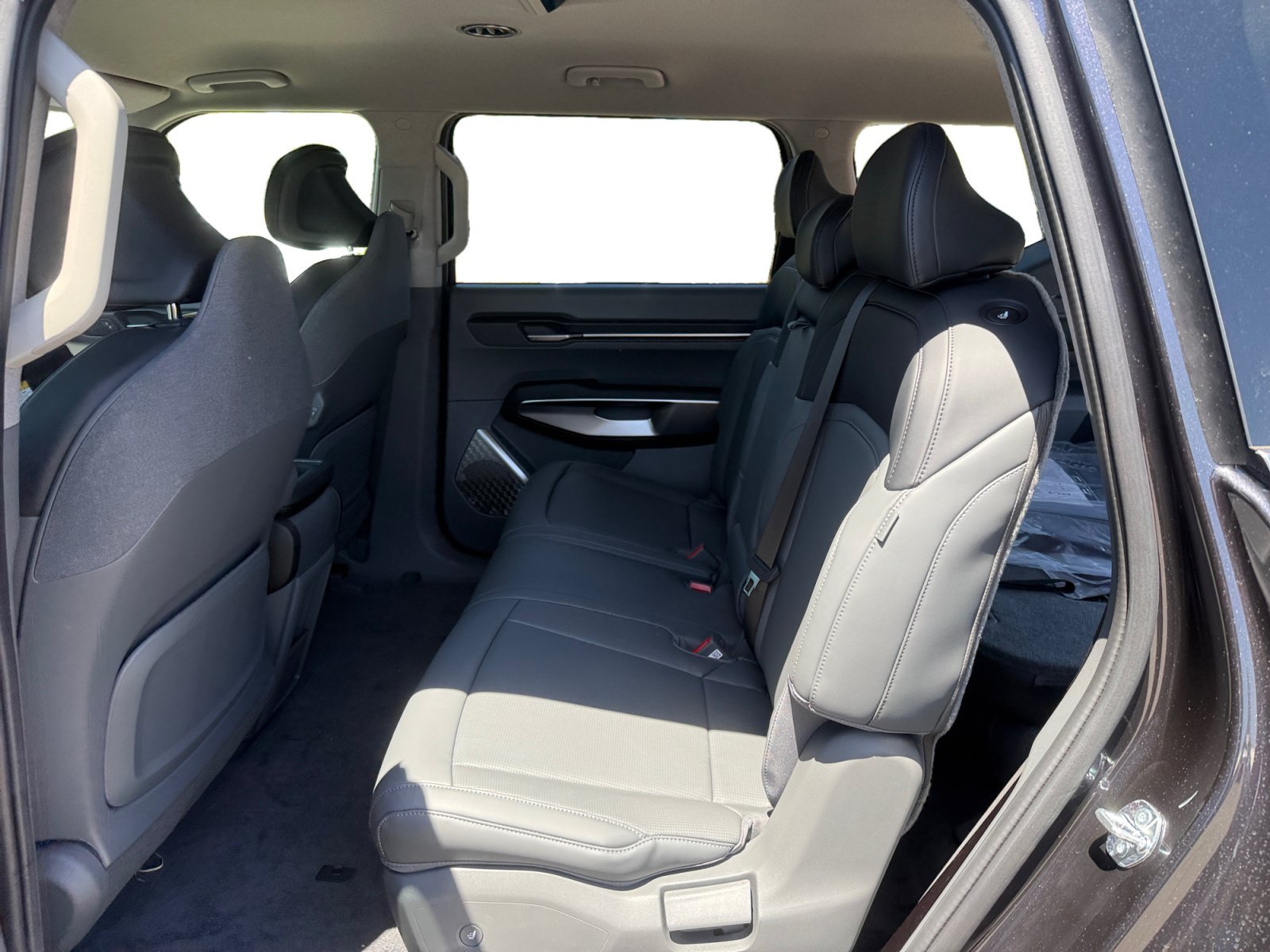 New 2026 Panthera Metal Kia Light RWD image 16