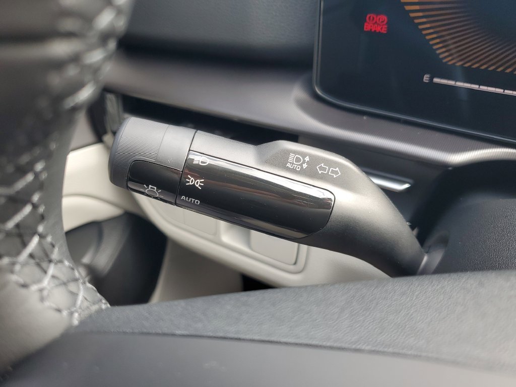 New 2026 Panthera Metal Kia EX image 30