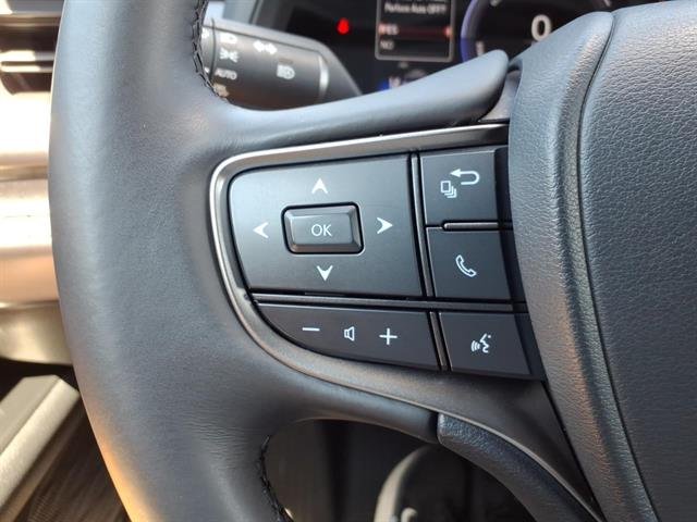 Certified Used 2025 Iridium Lexus UX 300h image 22