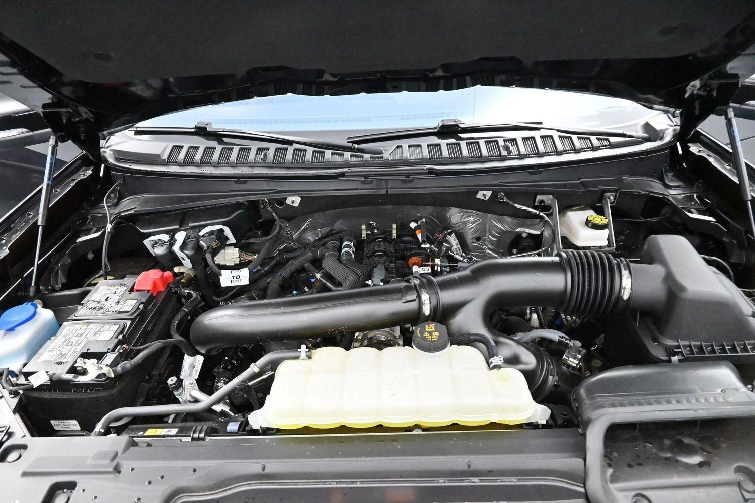 Used 2025 Black Ford Platinum image 51