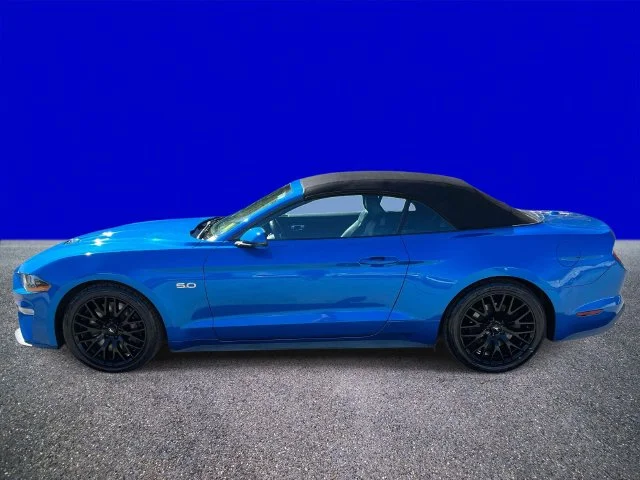 Used 2019 Blue Ford GT Premium image 6