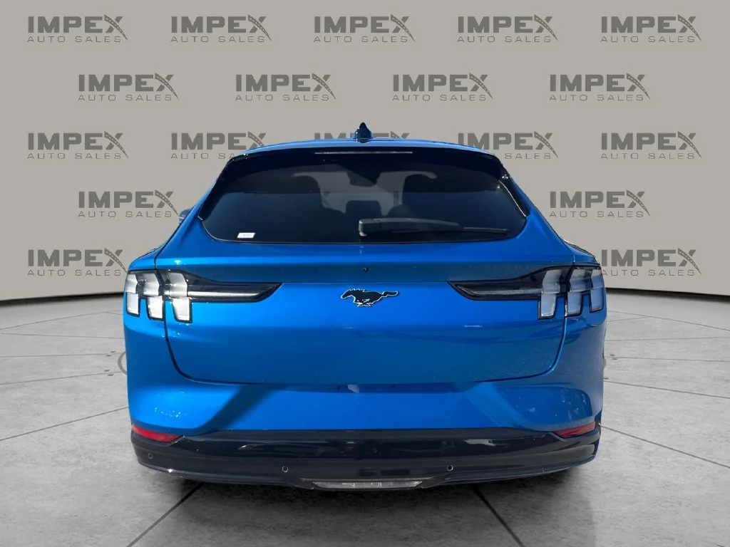 Used 2025 Blue Ford Premium image 4