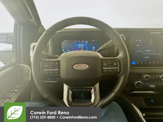 New 2026 Agate Black Metallic Ford Platinum image 12