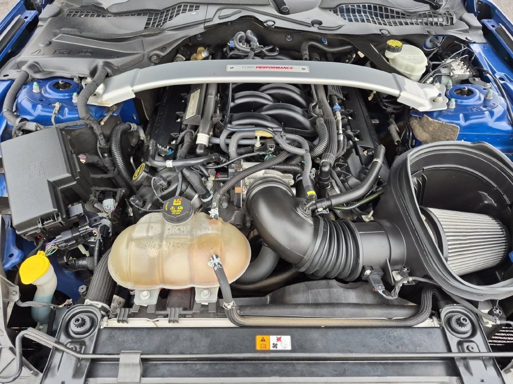 Used 2017 Blue Ford Shelby GT350 image 21