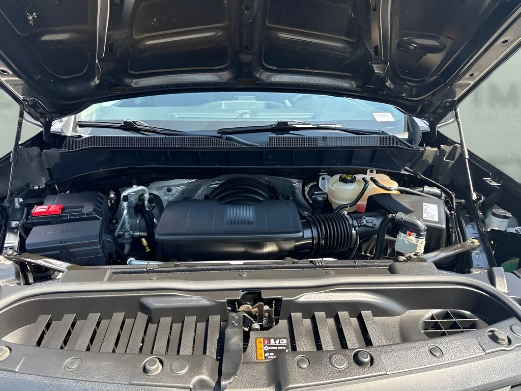 Used 2019 Black Chevrolet Custom Trail Boss image 20