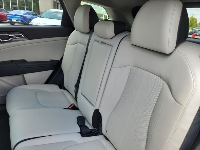 New 2026 Panthera Metal Gray Kia EX image 17