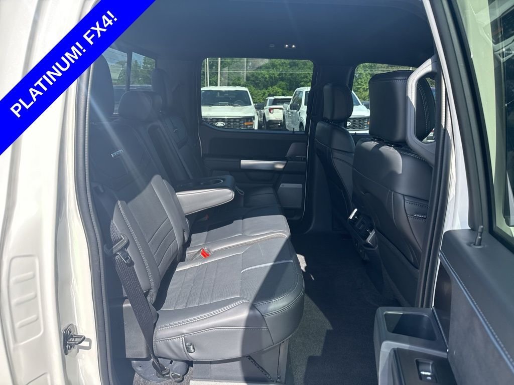 2025 Ford F-150 Platinum - Photo 19