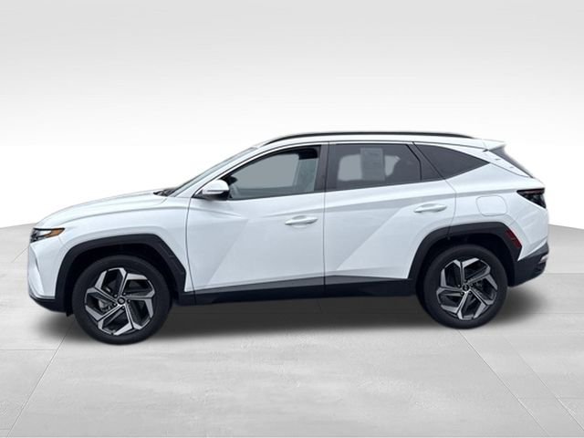 Used 2023 White Hyundai SEL image 10
