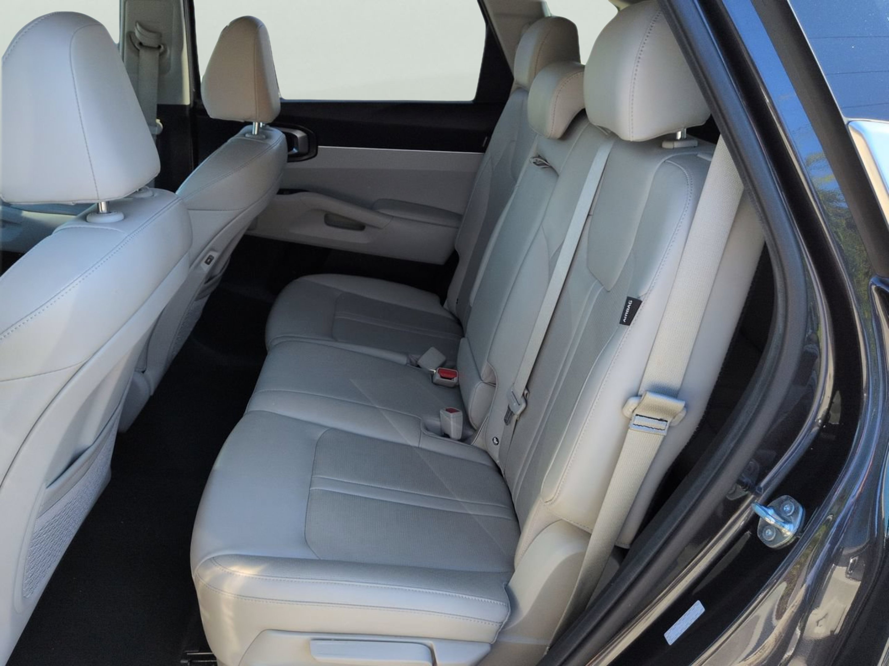 Used 2025 Panthera Metal Kia S image 12
