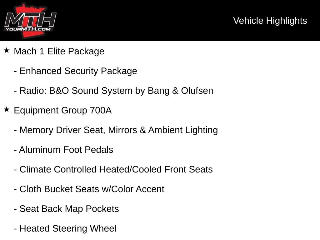 Used 2021 Gray Ford Mach 1 image 10