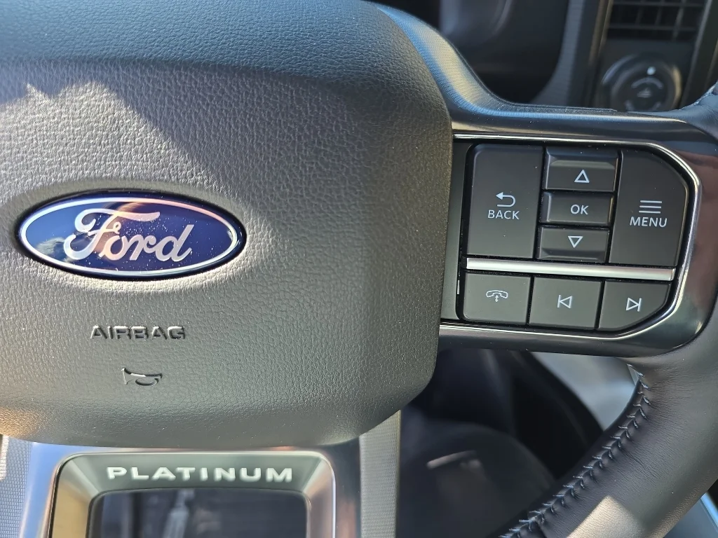 2025 Ford F-150 Platinum - Photo 18