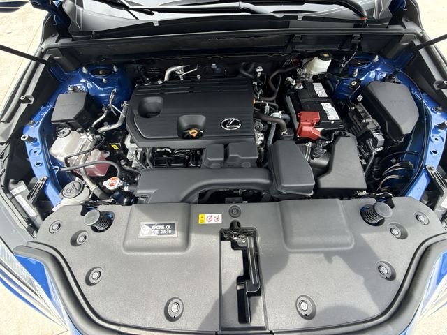 2025 Lexus NX 250 - Photo 27